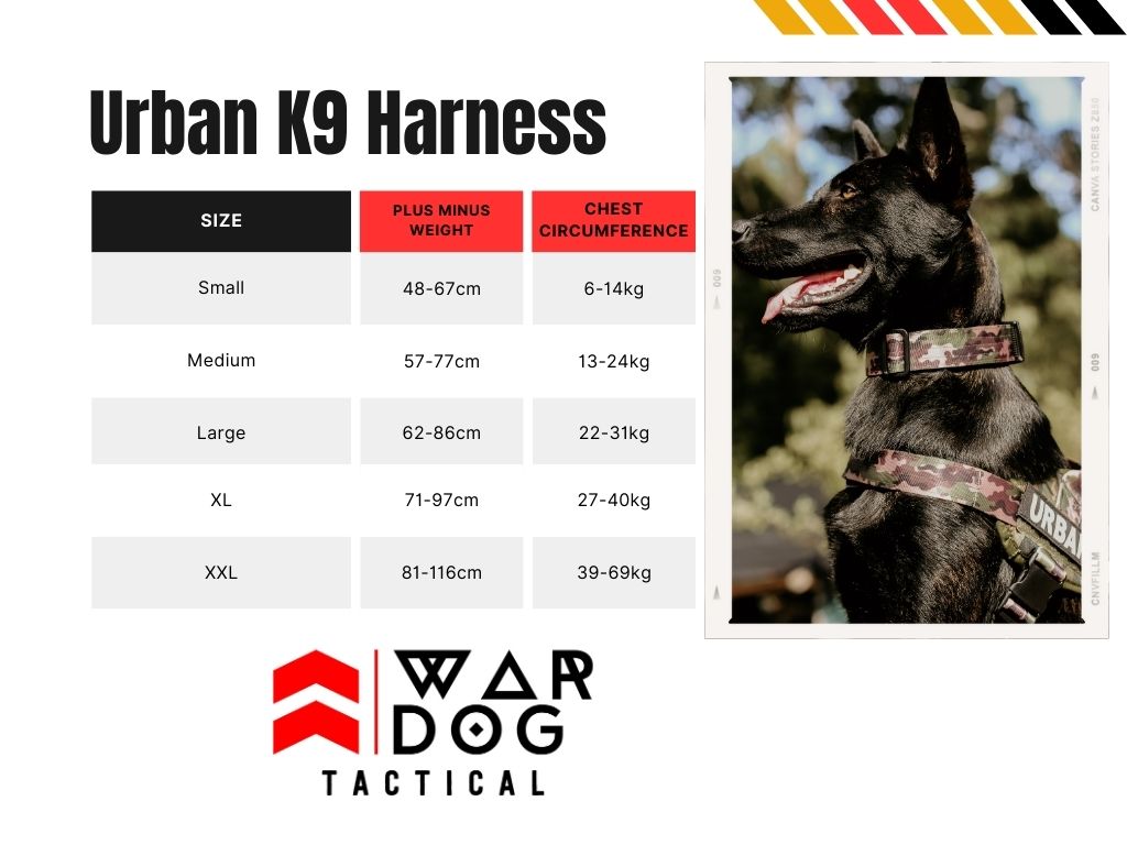 Harness