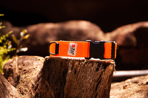 Collar Plastic Clip