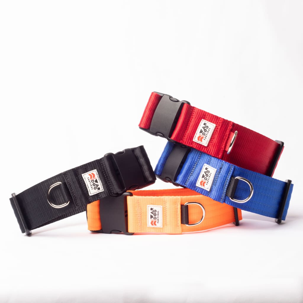 Collar Plastic Clip